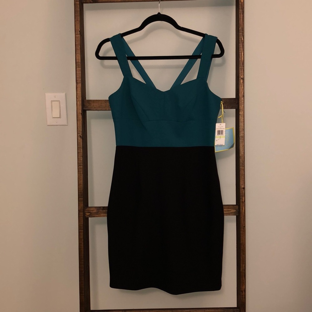 NWT awesome quality dress!